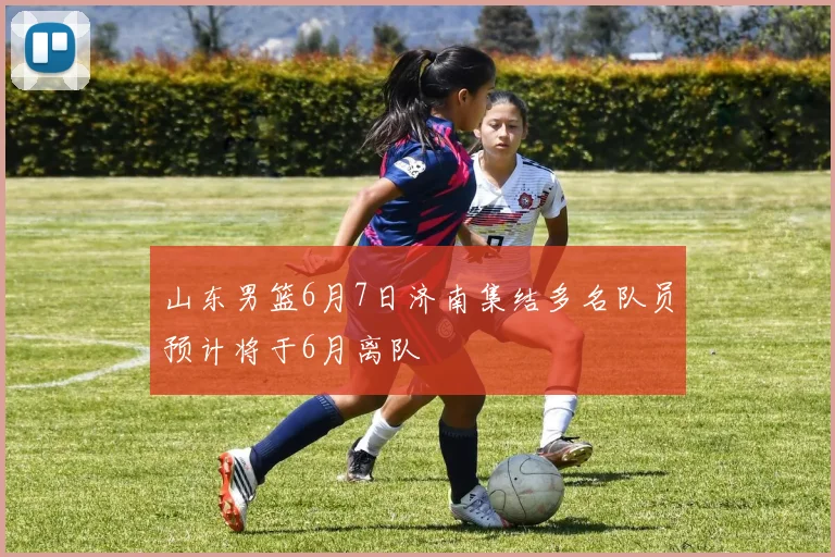 山东男篮6月7日济南集结多名队员预计将于6月离队