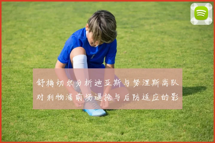 舒梅切尔分析迪亚斯与努涅斯离队对利物浦前场逼抢与后防适应的影响